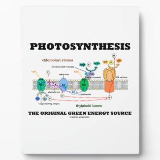 Photosynthesis The Original Green Energy Source Photo Plaques