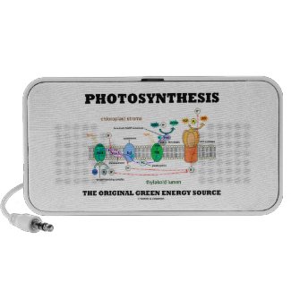 Photosynthesis The Original Green Energy Source Travelling Speaker
