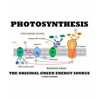Photosynthesis The Original Green Energy Source shirt