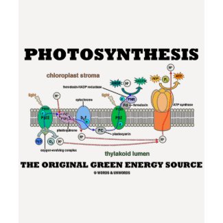 Photosynthesis The Original Green Energy Source shirt