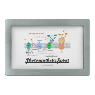Photosynthetic Spirit (Biochemistry Attitude) Belt Buckles