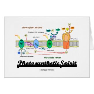 Photosynthetic Spirit (Biochemistry Attitude) Cards