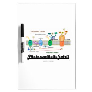 Photosynthetic Spirit (Biochemistry Attitude) Dry Erase White Board