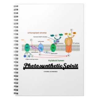 Photosynthetic Spirit (Biochemistry Attitude) Note Books