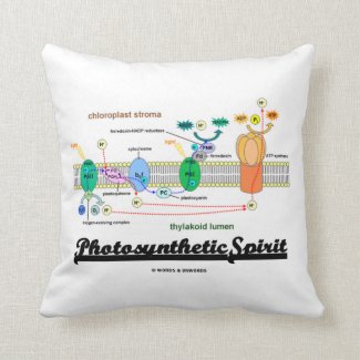 Photosynthetic Spirit (Biochemistry Attitude) Throw Pillows