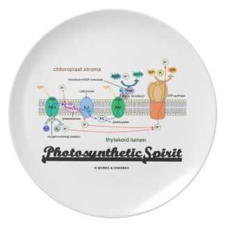 Photosynthetic Spirit (Biochemistry Attitude) Plates