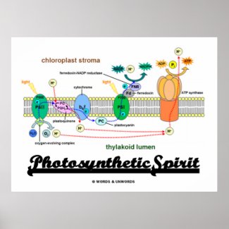 Photosynthetic Spirit (Biochemistry Attitude) Print
