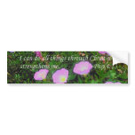 Php 4:13 bumper stickers