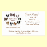 PHR Business Card business cards