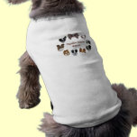 PHR Logo Pet Tee pet clothing