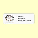 PHR Return Addy Label labels