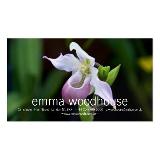 Phragmipedium Orchid Business Card (front side)