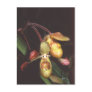 Phragmipedium  sargentianum postcard