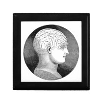 Phrenology Trinket Box