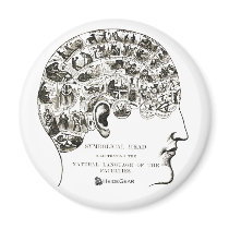 Phrenology Magnet