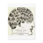 Phrenology Postcards