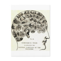 Phrenology Postcards