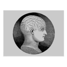 Phrenology Postcard