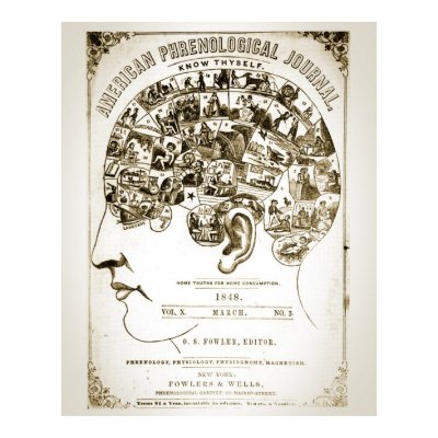 Phrenology Poster by derackm
