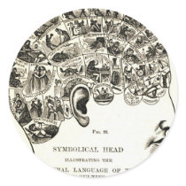 Phrenology Round Sticker
