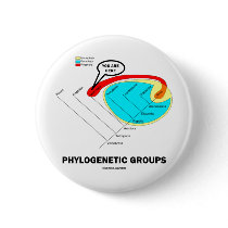 Phylogenetic Groups (Mammalia) You Are Here buttons
