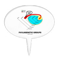 Phylogenetic Groups (Mammalia) You Are Here Cake Toppers