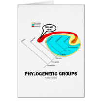 Phylogenetic Groups (Mammalia) You Are Here cards