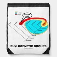 Phylogenetic Groups (Mammalia) You Are Here Drawstring Backpack