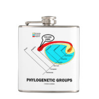 Phylogenetic Groups (Mammalia) You Are Here Hip Flasks