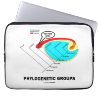 Phylogenetic Groups (Mammalia) You Are Here Laptop Computer Sleeve