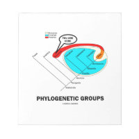 Phylogenetic Groups (Mammalia) You Are Here Memo Note Pad