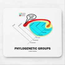 Phylogenetic Groups (Mammalia) You Are Here mousepads