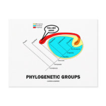 Phylogenetic Groups (Mammalia) You Are Here postcards