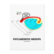 Phylogenetic Groups (Mammalia) You Are Here postcards