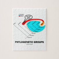 Phylogenetic Groups (Mammalia) You Are Here Puzzles