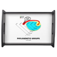 Phylogenetic Groups (Mammalia) You Are Here Service Tray