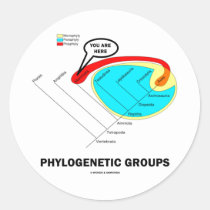 Phylogenetic Groups (Mammalia) You Are Here Stickers