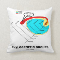 Phylogenetic Groups (Mammalia) You Are Here Throw Pillows