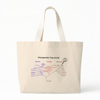 Phylogenetic Tree Of Life - You Are Here (Biology) bag