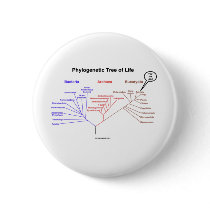 Phylogenetic Tree Of Life - You Are Here (Biology) buttons
