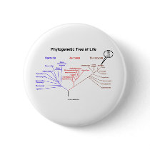 Phylogenetic Tree Of Life - You Are Here (Biology) buttons by wordsunwords Phylogenetic Tree Of Life - You Are Here (Biology) buttons