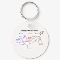 Phylogenetic Tree Of Life - You Are Here (Biology) keychains by wordsunwords Phylogenetic Tree Of Life - You Are Here (Biology) keychains