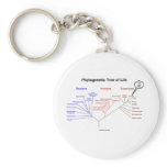 Phylogenetic Tree Of Life - You Are Here (Biology) Key Chain