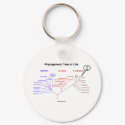 Phylogenetic Tree Of Life - You Are Here (Biology) keychains by wordsunwords Phylogenetic Tree Of Life - You Are Here (Biology) keychains