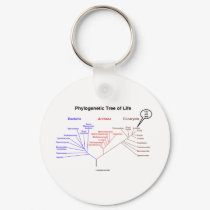 Phylogenetic Tree Of Life - You Are Here (Biology) keychains by wordsunwords Phylogenetic Tree Of Life - You Are Here (Biology) keychains