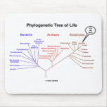 Phylogenetic Tree Of Life - You Are Here (Biology) Mouse Pad