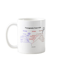 Phylogenetic Tree Of Life - You Are Here (Biology) mugs by wordsunwords Phylogenetic Tree Of Life - You Are Here (Biology) mugs
