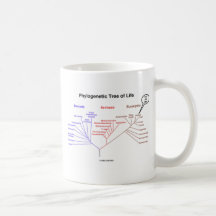 Phylogenetic Tree Of Life - You Are Here (Biology) Mugs