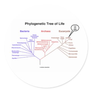 Phylogenetic Tree Of Life - You Are Here (Biology) sticker