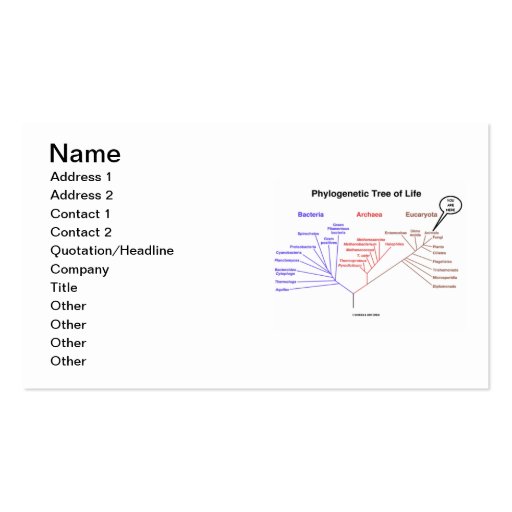 Phylogenetic Tree Of Life You Are Here Business Cards (front side)